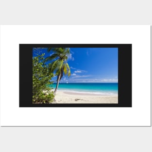 Caribbean Beach With Palm Posters and Art